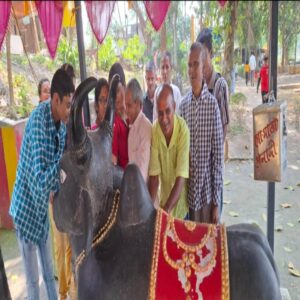 A Journey Of Feelings06